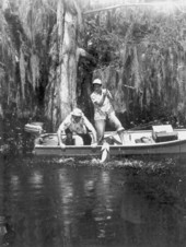Teresa Meyers hauls in a fish while Howe Sadler helps at Cross Creek - Cross Creek, Florida