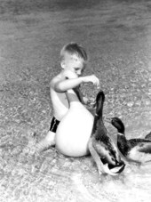 Pat Perry feeding ducks.