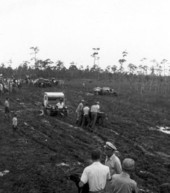 Naples' Swamp Buggy Day races - Naples, Florida