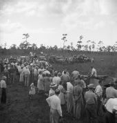 Naples' Swamp Buggy Day races - Naples, Florida