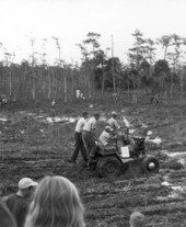 Naples' Swamp Buggy Day races - Naples, Florida