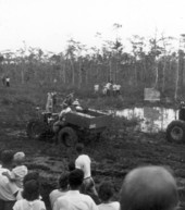 Naples' Swamp Buggy Day races - Naples, Florida