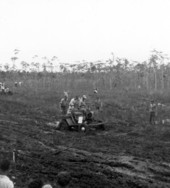 Naples' Swamp Buggy Day races - Naples, Florida