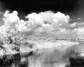 Landscape view from the Tamiami Trail - Everglades, Florida
