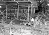 Chicken hatchery near Jacksonville