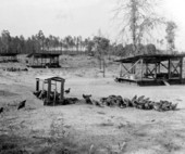 Chicken hatcheries - Jacksonville Region, Florida