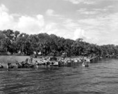 Several motorboats parked along the Kissimmee River during a boating trip