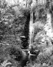 Close up views of the falls at Rainbow Springs - Dunnellon, Florida .