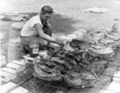Unidentified man tends barbecue at boat races - Sarasota, Florida