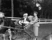 Richard Webb on an ostrich-drawn cart and Mari Aldon hold gifts during "Distant Drums" premiere - Saint Augustine, Florida