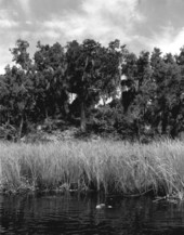 Large Indian mound.