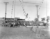 Trapeze artists perform at the Sarasota High School Sailor Circus