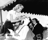 Clown face painting at the Sarasota High School Sailor Circus