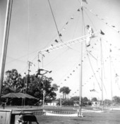 Trapeze artists of the Sarasota High School Sailor Circus