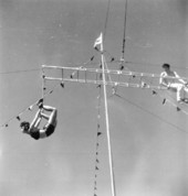 Trapeze artists of the Sarasota High School Sailor Circus