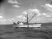 The trawler "Connie Mack" heads south across the Gulf of Mexico - Florida