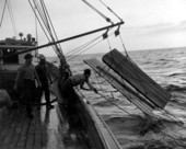 Great wooden "doors" being lowered from a shrimp boat - Florida