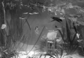 Carol Craig's collection of tropical fish - Tallahassee, Florida.