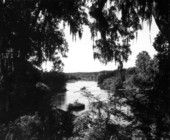 View of Rainbow Springs - Dunnellon, Florida
