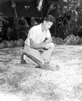 Parrot Jungle employee shows parrot tricks - Miami, Florida.