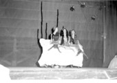 Performances during the Edison Pageant of Light - Fort Myers, Florida.