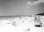 People on the beach.