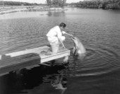 Theater of the Sea animal trainer feeds a bottle-nosed dolphinIslamorada, Florida