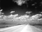 Road running through the Everglades.