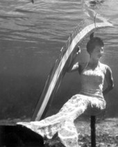 Unidentified mermaid at Rainbow Springs