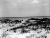 View of people relaxing on the beach.
