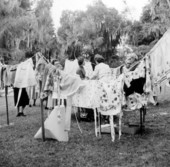 Jacksonville Garden Club - Jacksonville, Florida