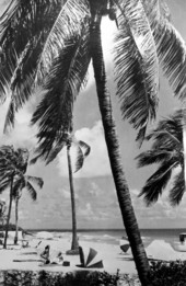 Miami Beach.