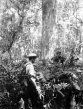 Wildlife managers in Corkscrew Swamp Sanctuary