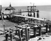 Dock - Cedar Key, Florida