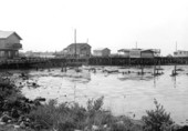 Waterfront area - Cedar Key, Florida