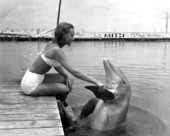 Woman shakes Flipper's flipper - Marathon, Florida.