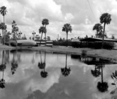 View of the place of the Tupperware Jubilee - Orlando, Florida
