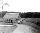 Man-made walkway through Corkscrew Swamp - Collier County, Florida.
