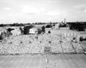 Florida State vs. University of Florida football game - Gainesville, Florida.