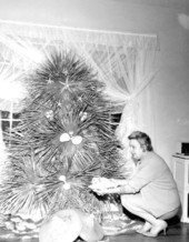 All Florida Christmas tree - Tallahassee, Florida