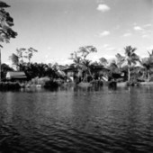 Caribbean Gardens - Naples, Florida
