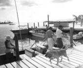 People in boats prepare and relax while a dog walks by on the pier - Florida Keys, Florida