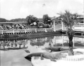 Tourists on train at the Gatorland theme park - Orlando, Florida.