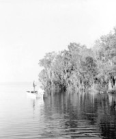 Bass fishing - Welaka, Florida
