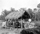 People picnicking by the water's edge - Silver River, Florida