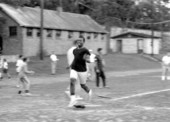 Runner crossing home plate during softball game between the Governor's staff and Legislative staff at Centennial Field.