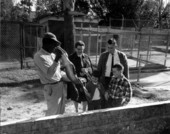 Alligator farm guide showing an alligator to a family - St. Augustine, Florida