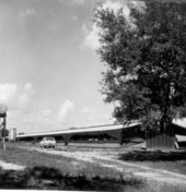 Broiler chicken farm - Mayo, Florida