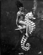 Mermaid Bonita Colson at Weeki Wachee Springs - Weeki Wachee, Florida.