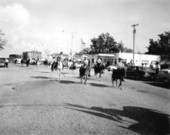 Men on horses during the Florida Seafood Festival - Apalachicola, Florida